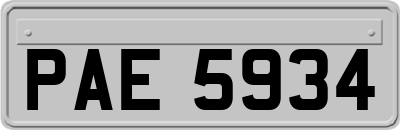 PAE5934