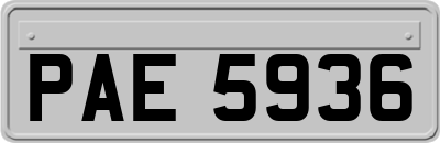 PAE5936