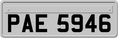 PAE5946