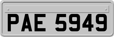PAE5949
