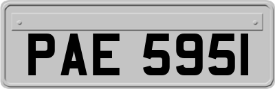 PAE5951