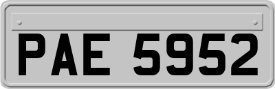 PAE5952