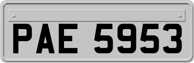 PAE5953
