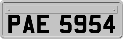 PAE5954