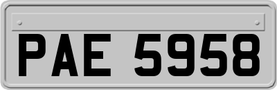 PAE5958