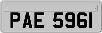 PAE5961