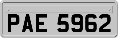 PAE5962