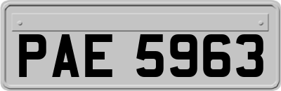 PAE5963