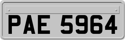 PAE5964