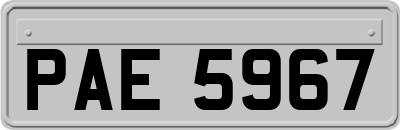 PAE5967