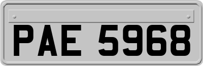 PAE5968
