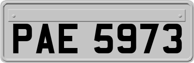 PAE5973