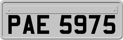 PAE5975