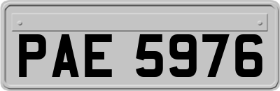 PAE5976