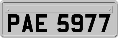 PAE5977