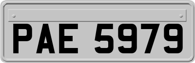 PAE5979