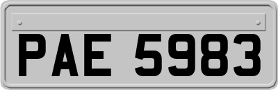 PAE5983