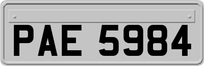 PAE5984