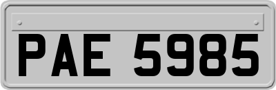 PAE5985