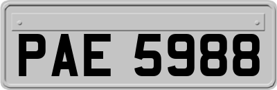 PAE5988
