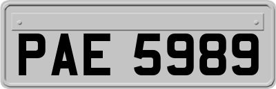 PAE5989