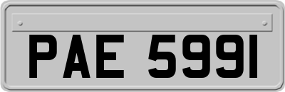 PAE5991