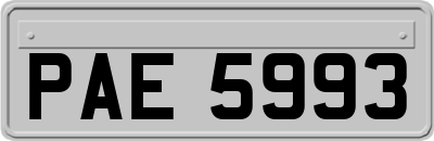 PAE5993