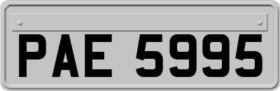 PAE5995