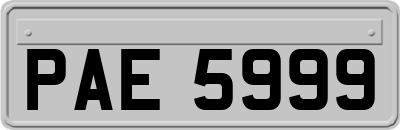PAE5999