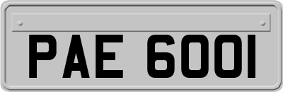 PAE6001