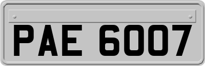 PAE6007