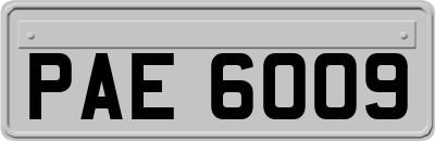 PAE6009