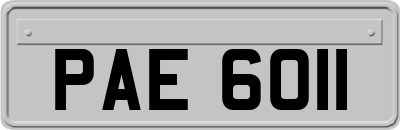 PAE6011