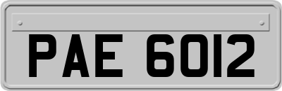 PAE6012