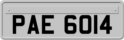 PAE6014