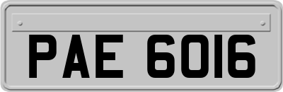 PAE6016