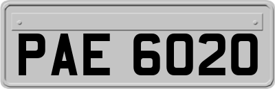 PAE6020