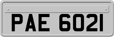 PAE6021