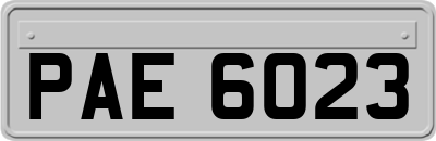PAE6023