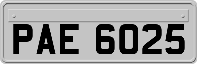 PAE6025