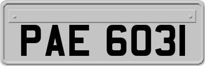 PAE6031