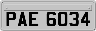 PAE6034