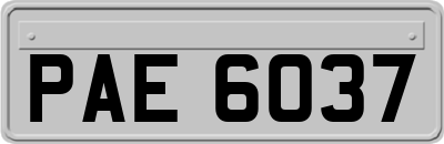 PAE6037