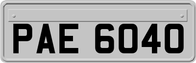 PAE6040