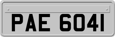 PAE6041