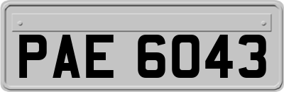 PAE6043