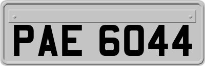 PAE6044