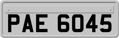 PAE6045