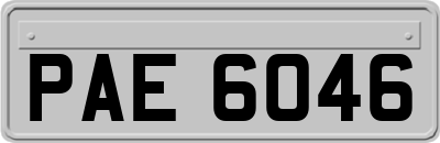 PAE6046