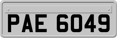 PAE6049